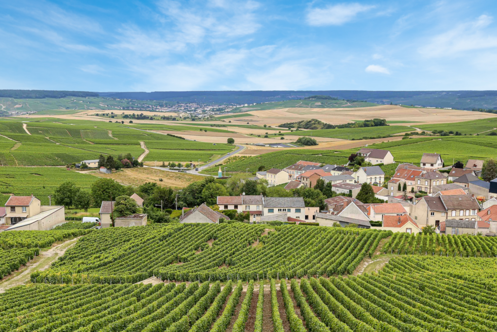 PRIVATE Sancerre Wine Day Tour From Paris (3)