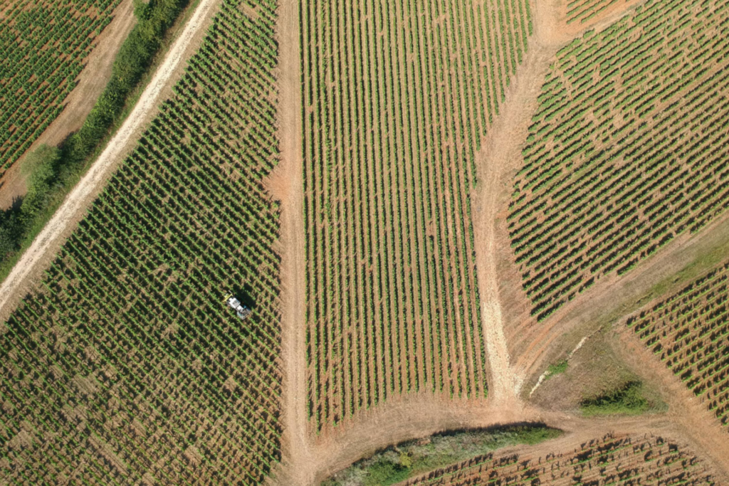 PRIVATE Sancerre Wine Day Tour From Paris (4)