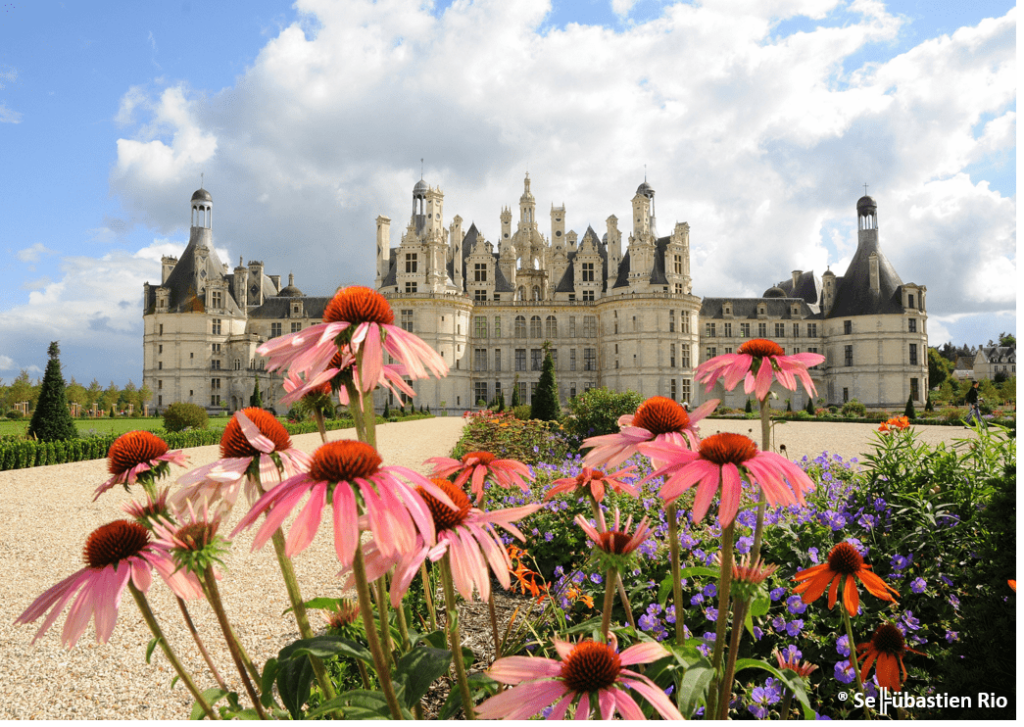 Private wine day trip to Loire Valley (4)